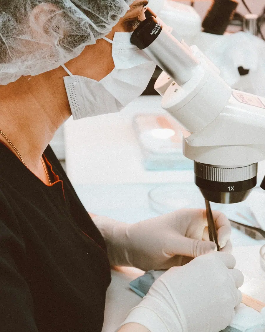 A trainee preparing grafts under a stereo microscope