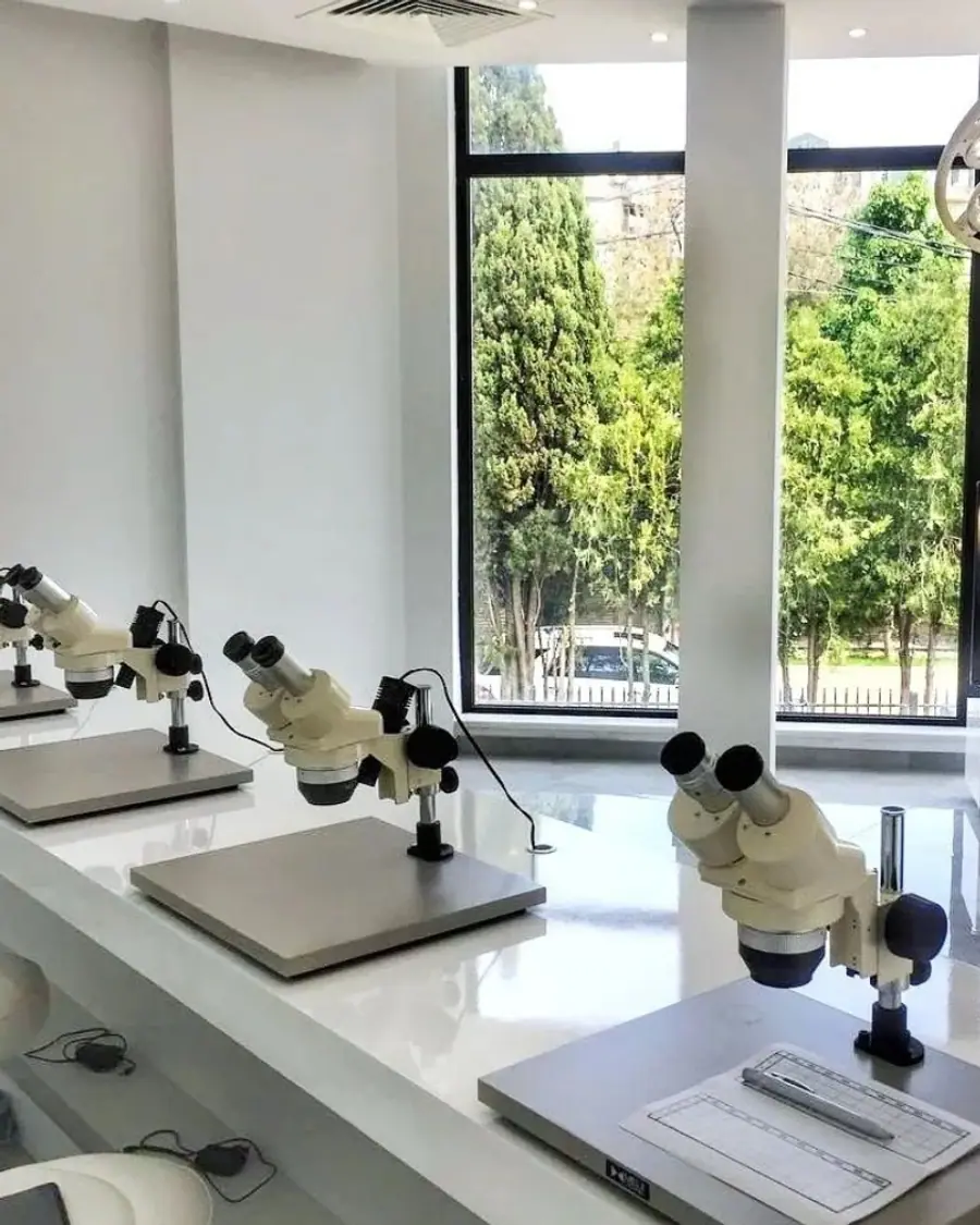Naturally lit microscope room at the institute