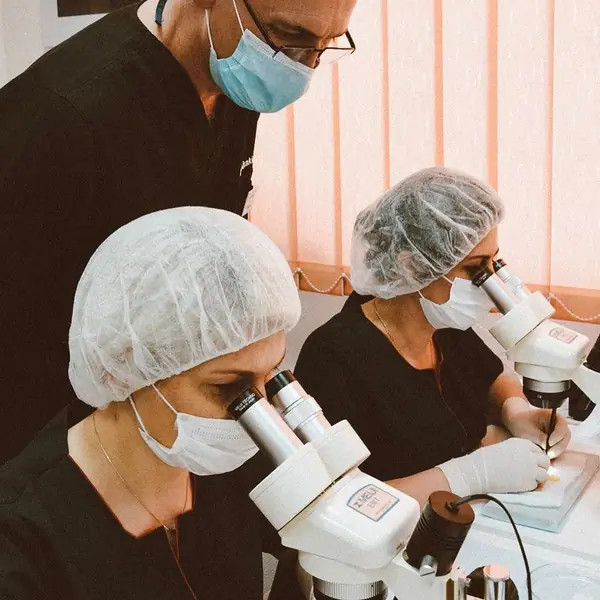 Dr. Tsilosani supervising trainees at the microscope during graft preparation